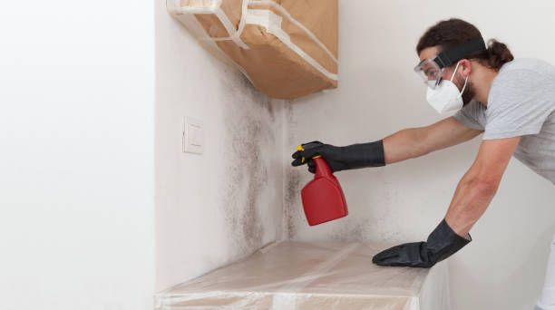 Professional Attic Mold Remediation technician working in Saluda, VA